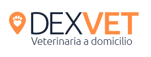 Dexvet — caso piloto de Zetrio